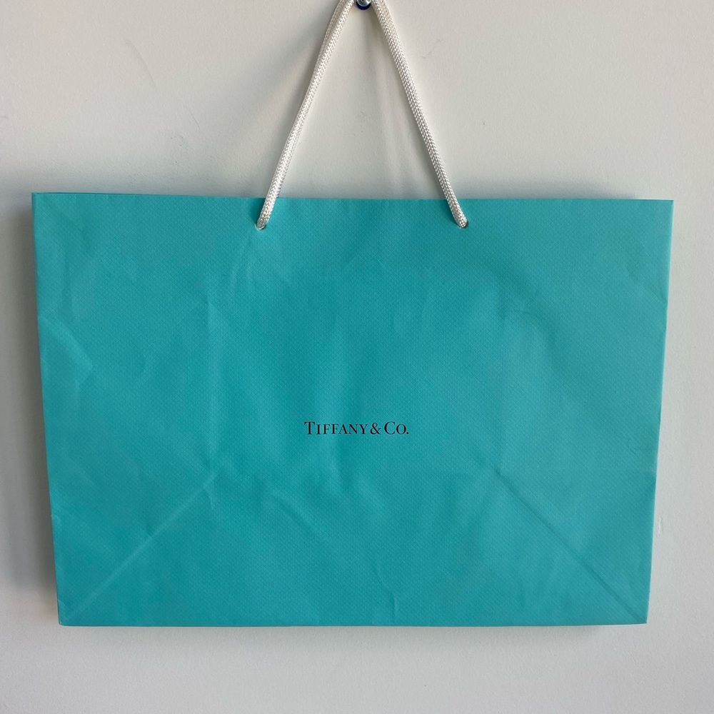 Tiffany & Co. Blue Shopping Bag - Large